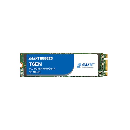 T6EN M.2 2280 PCIe NVMe SSD